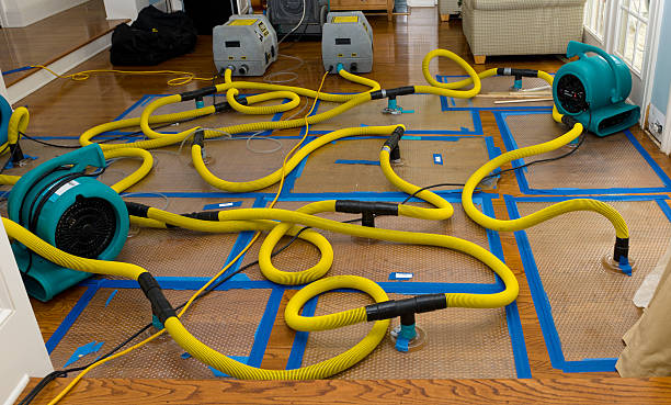 Professional Crawl Space Water Removal technician working in Woodmere, LA